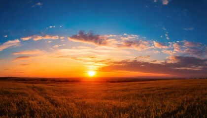 Obraz premium Vibrant sunset over expansive wheat field