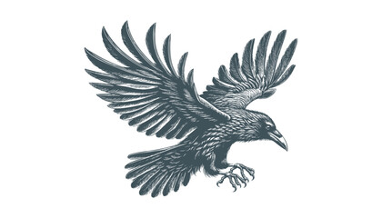 crow vector, raven vector