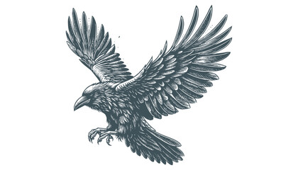 crow vector, raven vector