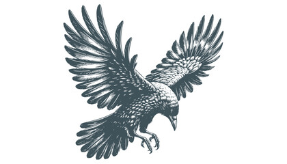 crow vector, raven vector