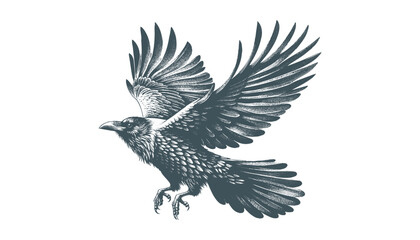 crow vector, raven vector