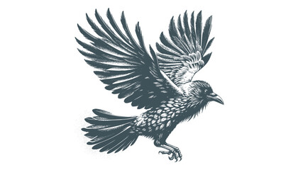 crow vector, raven vector