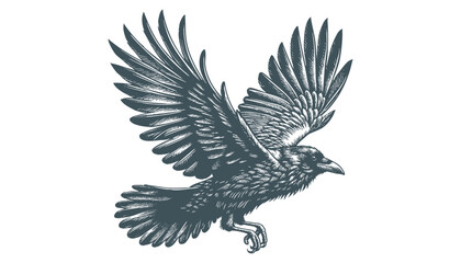 crow vector, raven vector