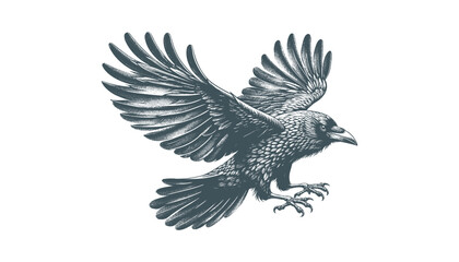 crow vector, raven vector