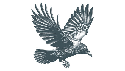 crow vector, raven vector