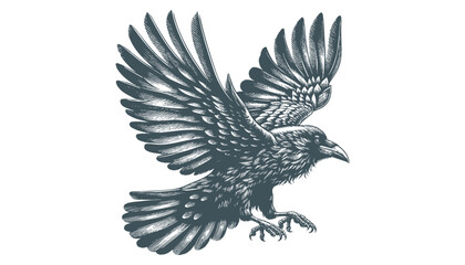 crow vector, raven vector