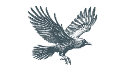 Obraz premium crow vector, raven vector