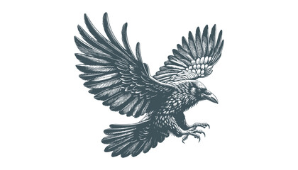 crow vector, raven vector