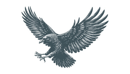 crow vector, raven vector