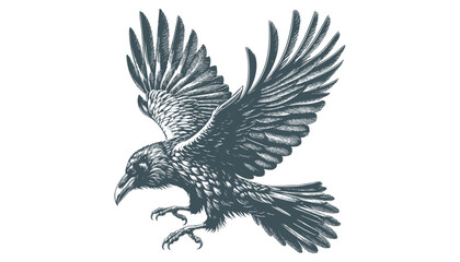 crow vector, raven vector