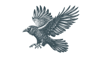 crow vector, raven vector