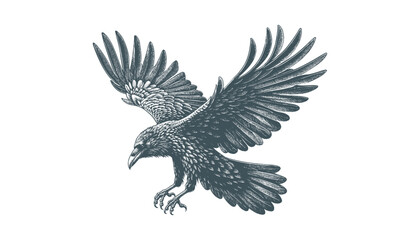 crow vector, raven vector