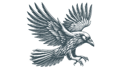 crow vector, raven vector