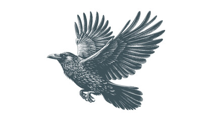 crow vector, raven vector