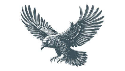 crow vector, raven vector