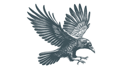 crow vector, raven vector