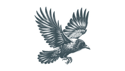 crow vector, raven vector