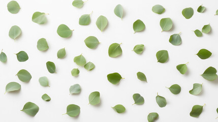 Minimalist flat lay featuring scattered eucalyptus leaves for nature-inspired designs