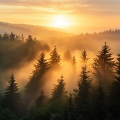Misty sunrise over a mountain forest.