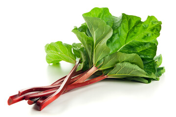 Freshly harvested rhubarb stalks with leaves isolated on white