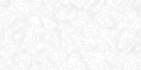 White topography topology vector white background fresh contour map texture. white seamless pattern Abstract background with a wave Topography and geography map grid abstract backdrop.