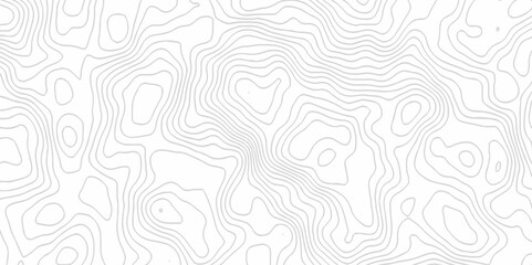 Fototapeta premium White topography topology vector white background fresh contour map texture. white seamless pattern Abstract background with a wave Topography and geography map grid abstract backdrop.