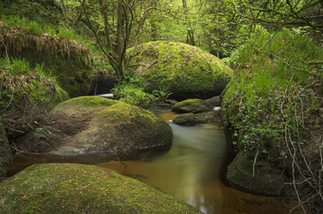 Obraz premium Huelgoat-Mysterious and legendary forest of Brittany,-granite chaos and enchanted river