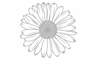 white flower on black background Coloring Pages Book for Kids,  Food, Animals, Wonderland & Fairy Tale Outlined Pages White becground 