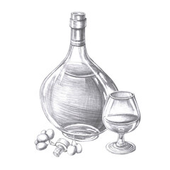 Bottle of cognac, glass and grapes in pencil. Isolated illustration on the theme of alcoholic drinks for menu design, cookbook, gastronomic magazines and festivals.
