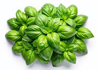 Fototapeta premium Fresh Basil Leaves Isolated on White Background - Aerial Drone Shot