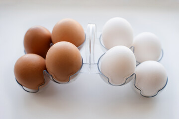 chicken eggs white and brown on egg stand on white background