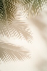 Obraz premium Palm Leaf Shadows: An abstract image showcasing the delicate shadows cast by palm leaves on a light beige surface, creating a serene and tropical ambiance.