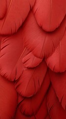 Crimson Feather Texture: A close-up shot reveals the intricate details and rich texture of a collection of deep crimson feathers, creating a visually captivating and luxurious pattern.