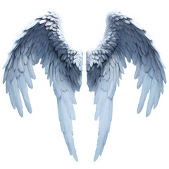 Obraz premium Elegant Angel Wings, Isolated on White Background