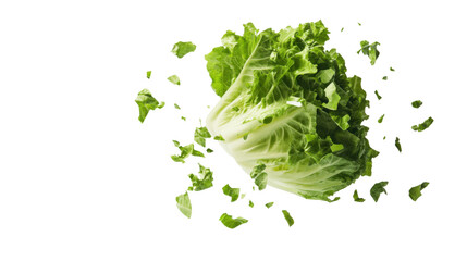 Fototapeta premium fresh spinach leaves