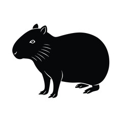 Fototapeta premium vector image of a mouse