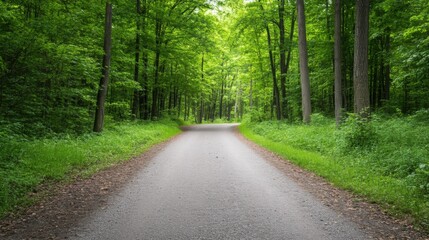 Obraz premium Serene Road Surrounded by Lush Green Forest in Nature's Tranquil Retreat Ideal for Outdoor Adventures