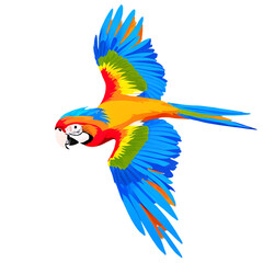 Fototapeta premium Vibrant Macaw Parrot with Colorful Plumage, Isolated on White Background