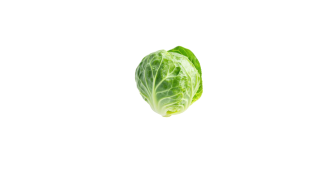 cabbage isolated on white background