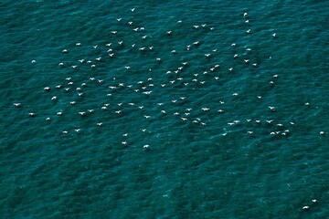 Nature photography, beauty of nature 