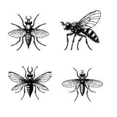 deer fly
