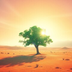 Fototapeta premium lonely tree in the desert wallpaper 