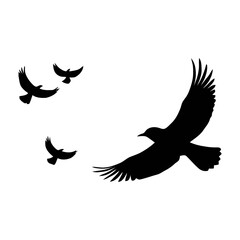vector illustration of an eagle