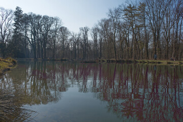 A serene pond reflects the surrounding leafless trees under a clear sky, creating a tranquil and...