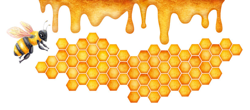 World Bee Day, May 20. Honeycomb watercolor drawing with bees. Concept save the bees and ecology and ecosystem. Healthy natural nutrition.