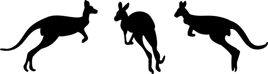 kangaroo jumping silhouette on white background vector