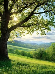 Obraz premium Majestic Oak Tree Overlooking Green Valley with Sunlight Streaming Through Leaves : Generative AI