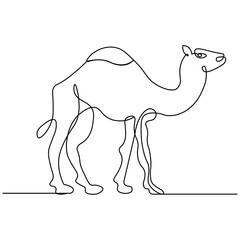 Dromedary icon   continuous one line drawing of outline vector illustration