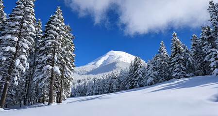 Fototapeta premium Montagne