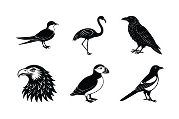 Fototapeta premium vector illustration of a set of icons